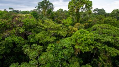 Former Mixmag editor reported missing in the Amazon