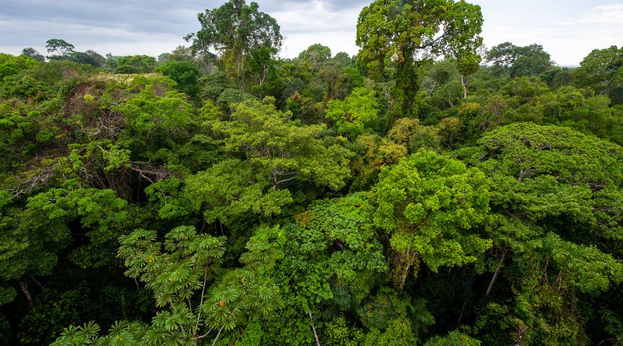 Former Mixmag editor reported missing in the Amazon