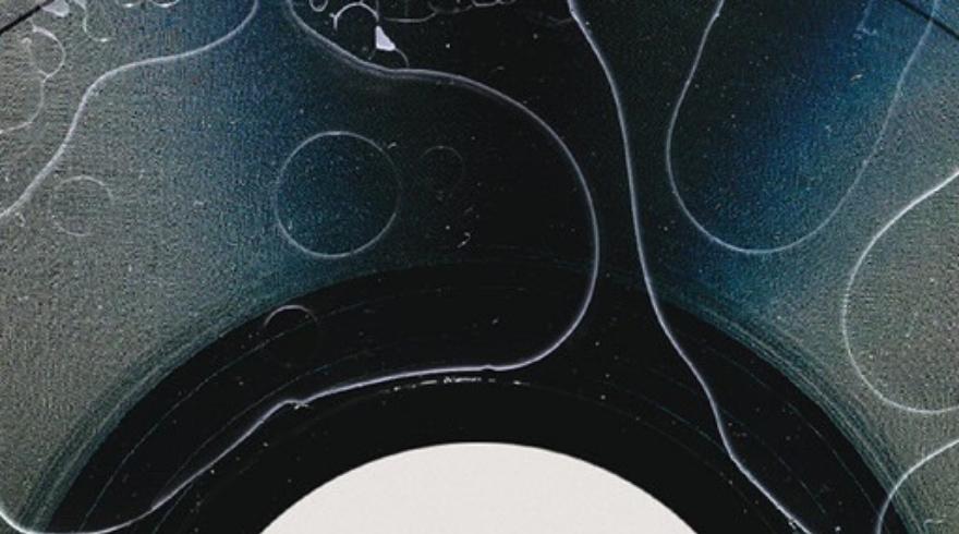 Biologist uses microorganisms to create the world's first "living record"